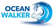 Website design for Ocean Walker